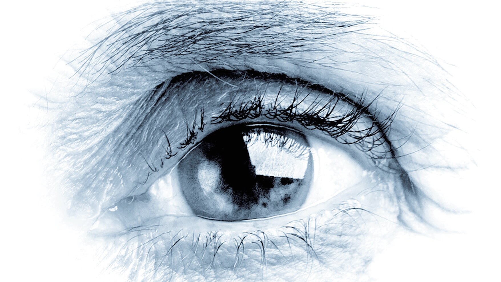 © Sujet: Dynamowien | Foto: Getty Images